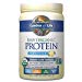 Garden of Life Meal Replacement Chocolate Powder, 28 Servings, Organic Raw Plant Based Protein Powder, Vegan, Gluten-Free